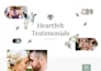 design a stunning wedding and celebrant website in wordpress